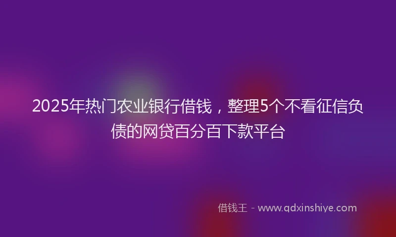 2025年热门农业银行借钱，整理5个不看征信负债的网贷百分百下款平台