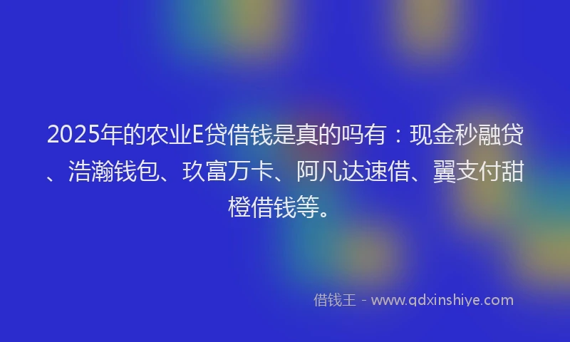 2025年的农业E贷借钱是真的吗有：现金秒融贷、浩瀚钱包、玖富万卡、阿凡达速借、翼支付甜橙借钱等。
