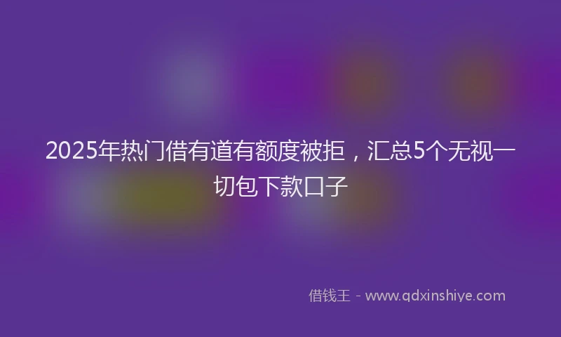 2025年热门借有道有额度被拒，汇总5个无视一切包下款口子