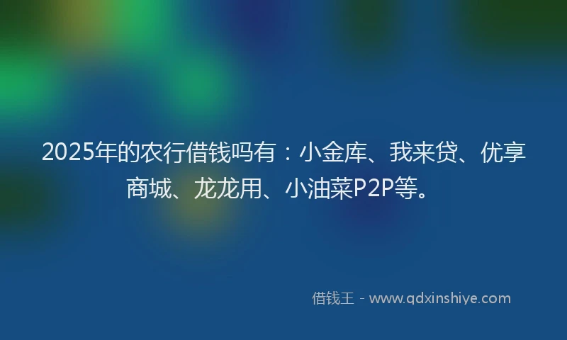 2025年的农行借钱吗有：小金库、我来贷、优享商城、龙龙用、小油菜P2P等。