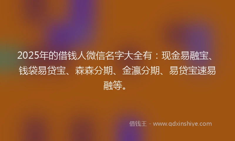 2025年的借钱人微信名字大全有：现金易融宝、钱袋易贷宝、森森分期、金瀛分期、易贷宝速易融等。