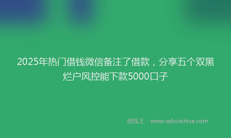 2025年热门借钱微信备注了借款，分享五个双黑烂户风控能下款5000口子