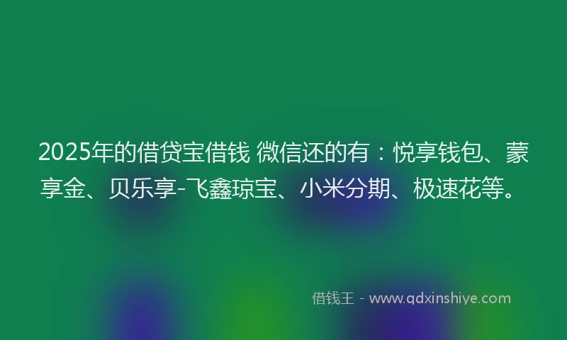 2025年的借贷宝借钱 微信还的有：悦享钱包、蒙享金、贝乐享-飞鑫琼宝、小米分期、极速花等。