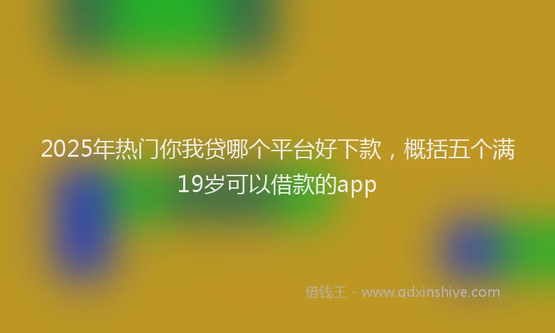 2025年热门你我贷哪个平台好下款，概括五个满19岁可以借款的app