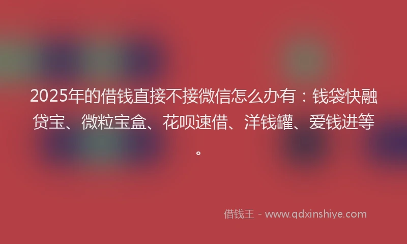 2025年的借钱直接不接微信怎么办有：钱袋快融贷宝、微粒宝盒、花呗速借、洋钱罐、爱钱进等。