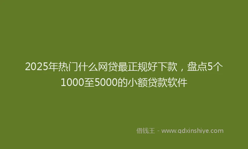 2025年热门什么网贷最正规好下款，盘点5个1000至5000的小额贷款软件