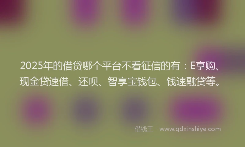 2025年的借贷哪个平台不看征信的有：E享购、现金贷速借、还呗、智享宝钱包、钱速融贷等。