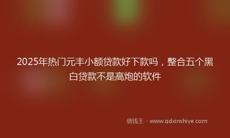 2025年热门元丰小额贷款好下款吗，整合五个黑白贷款不是高炮的软件