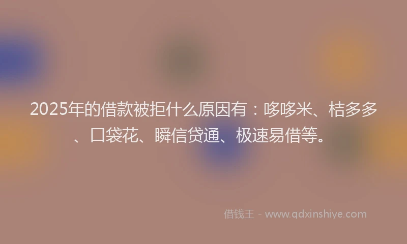 2025年的借款被拒什么原因有：哆哆米、桔多多、口袋花、瞬信贷通、极速易借等。
