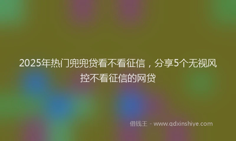 2025年热门兜兜贷看不看征信，分享5个无视风控不看征信的网贷
