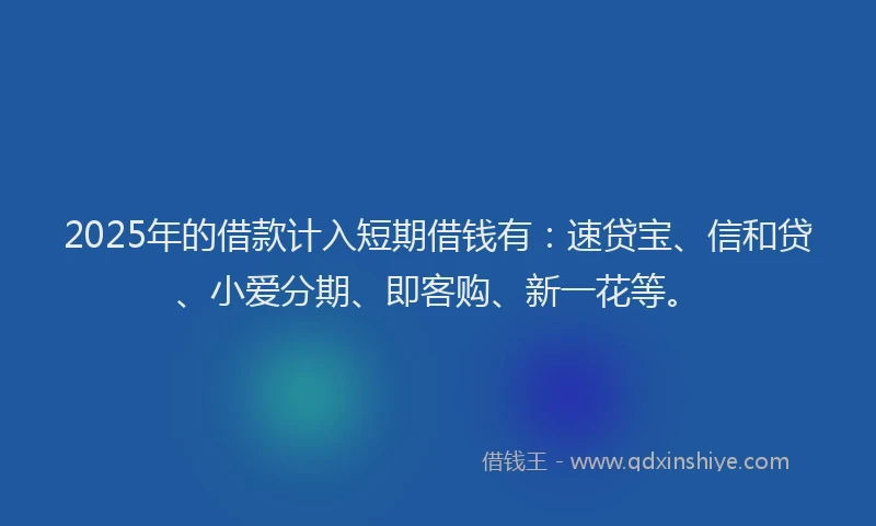 2025年的借款计入短期借钱有：速贷宝、信和贷、小爱分期、即客购、新一花等。