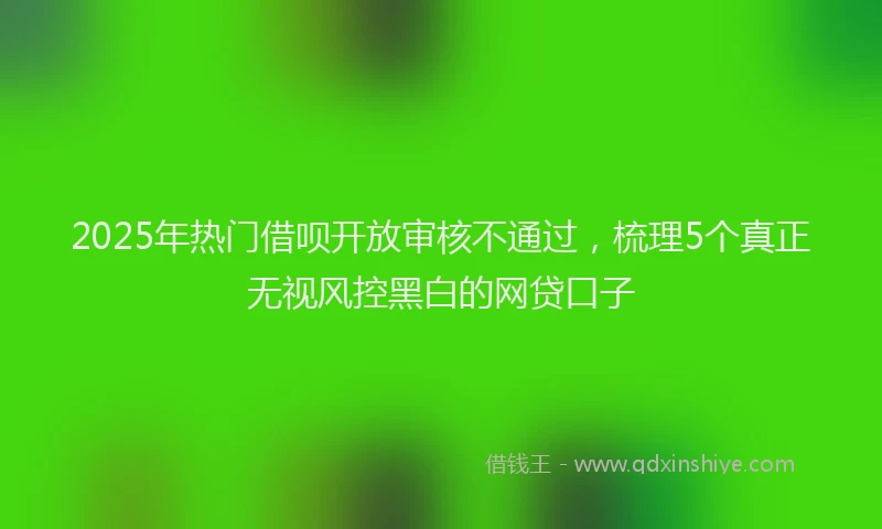 2025年热门借呗开放审核不通过，梳理5个真正无视风控黑白的网贷口子