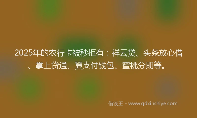 2025年的农行卡被秒拒有：祥云贷、头条放心借、掌上贷通、翼支付钱包、蜜桃分期等。
