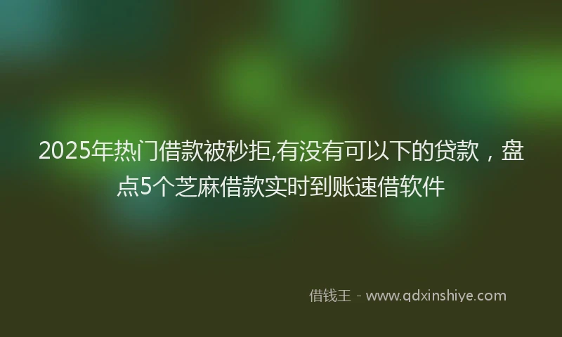2025年热门借款被秒拒,有没有可以下的贷款，盘点5个芝麻借款实时到账速借软件
