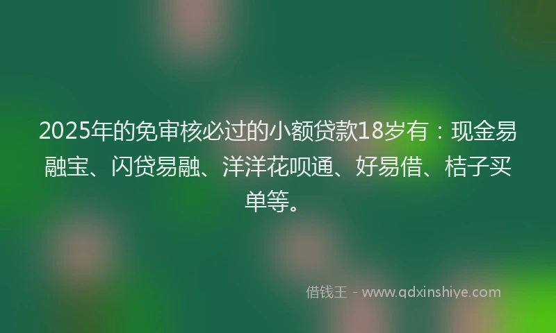 2025年的免审核必过的小额贷款18岁有：现金易融宝、闪贷易融、洋洋花呗通、好易借、桔子买单等。