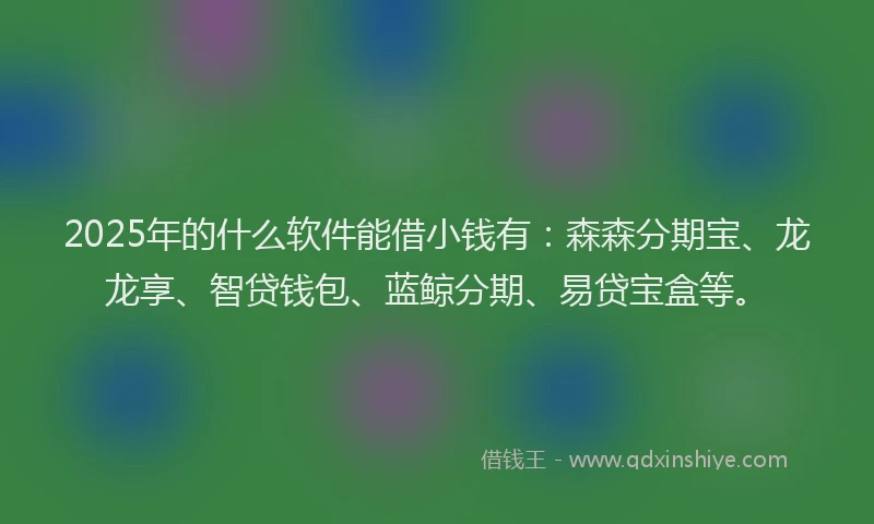 2025年的什么软件能借小钱有：森森分期宝、龙龙享、智贷钱包、蓝鲸分期、易贷宝盒等。