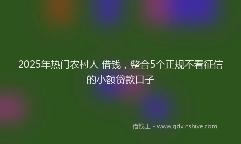 2025年热门农村人 借钱，整合5个正规不看征信的小额贷款口子