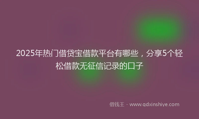 2025年热门借贷宝借款平台有哪些，分享5个轻松借款无征信记录的口子