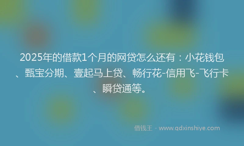2025年的借款1个月的网贷怎么还有：小花钱包、甄宝分期、壹起马上贷、畅行花-信用飞-飞行卡、瞬贷通等。