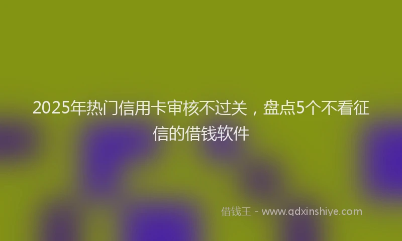 2025年热门信用卡审核不过关，盘点5个不看征信的借钱软件