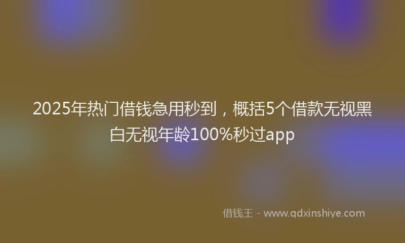 2025年热门借钱急用秒到，概括5个借款无视黑白无视年龄100%秒过app