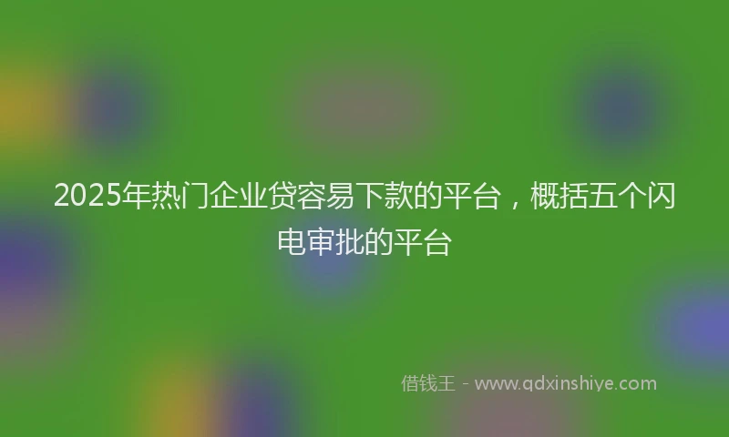 2025年热门企业贷容易下款的平台，概括五个闪电审批的平台