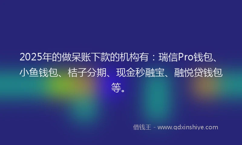 2025年的做呆账下款的机构有：瑞信Pro钱包、小鱼钱包、桔子分期、现金秒融宝、融悦贷钱包等。