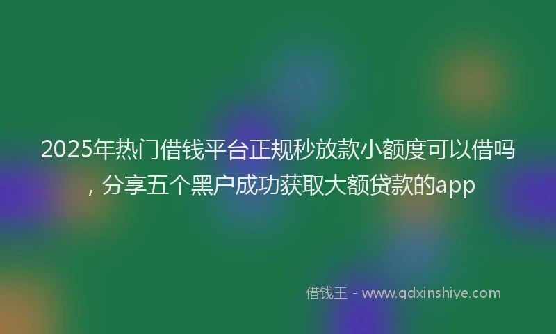 2025年热门借钱平台正规秒放款小额度可以借吗，分享五个黑户成功获取大额贷款的app