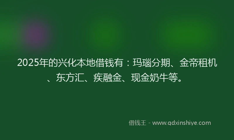 2025年的兴化本地借钱有：玛瑙分期、金帝租机、东方汇、疾融金、现金奶牛等。