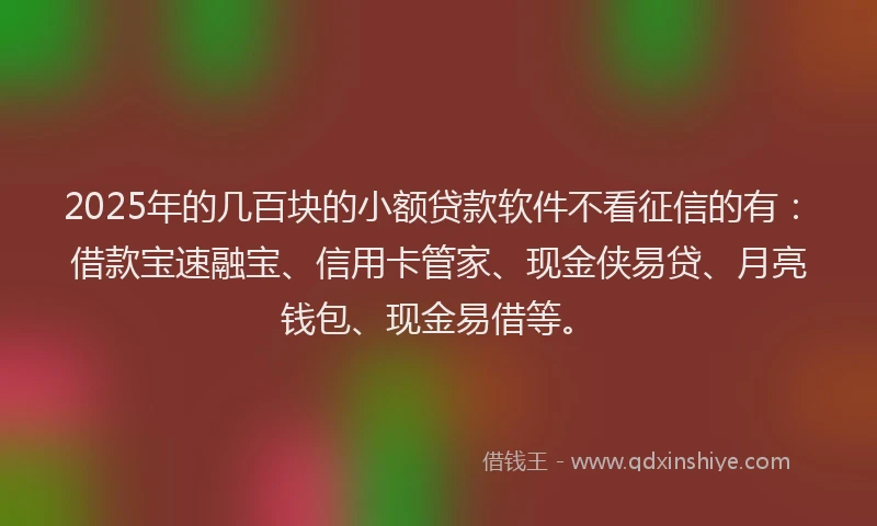 2025年的几百块的小额贷款软件不看征信的有：借款宝速融宝、信用卡管家、现金侠易贷、月亮钱包、现金易借等。