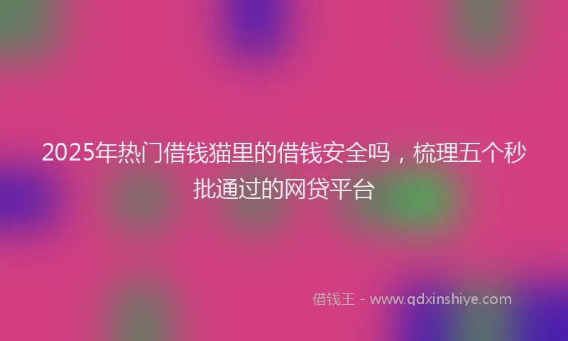 2025年热门借钱猫里的借钱安全吗，梳理五个秒批通过的网贷平台
