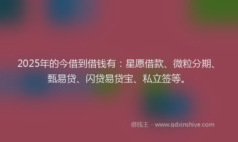 2025年的今借到借钱有：星愿借款、微粒分期、甄易贷、闪贷易贷宝、私立签等。