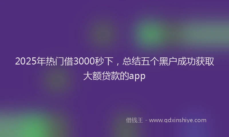 2025年热门借3000秒下，总结五个黑户成功获取大额贷款的app