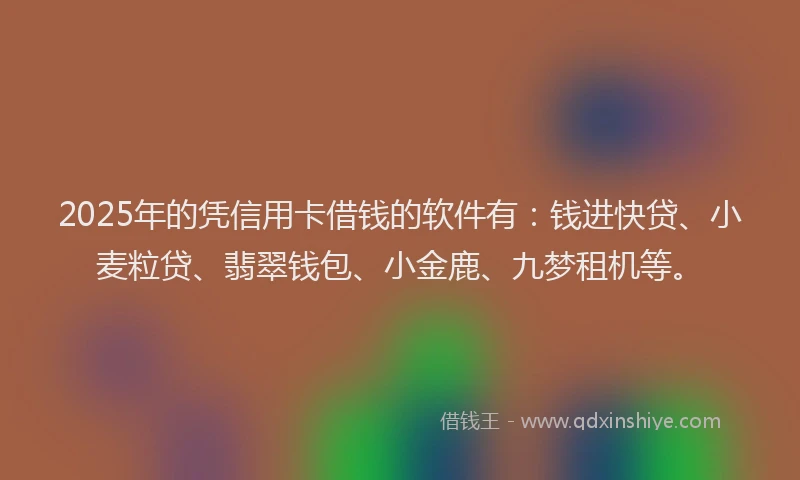 2025年的凭信用卡借钱的软件有：钱进快贷、小麦粒贷、翡翠钱包、小金鹿、九梦租机等。