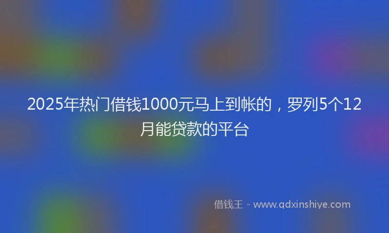 2025年热门借钱1000元马上到帐的，罗列5个12月能贷款的平台