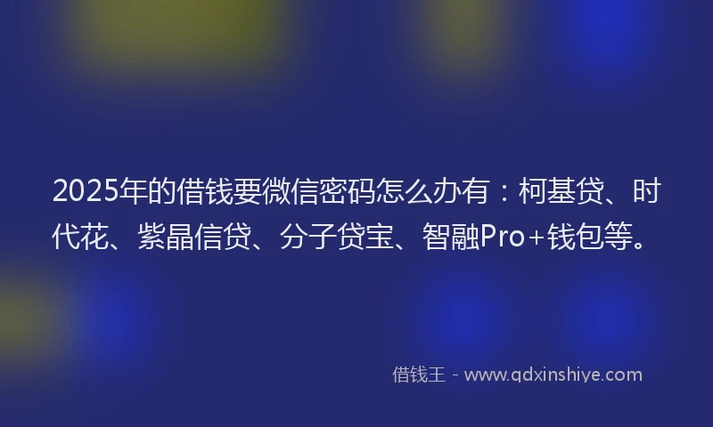 2025年的借钱要微信密码怎么办有：柯基贷、时代花、紫晶信贷、分子贷宝、智融Pro+钱包等。