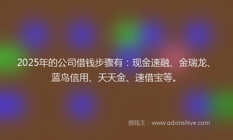 2025年的公司借钱步骤有：现金速融、金瑞龙、蓝鸟信用、天天金、速借宝等。