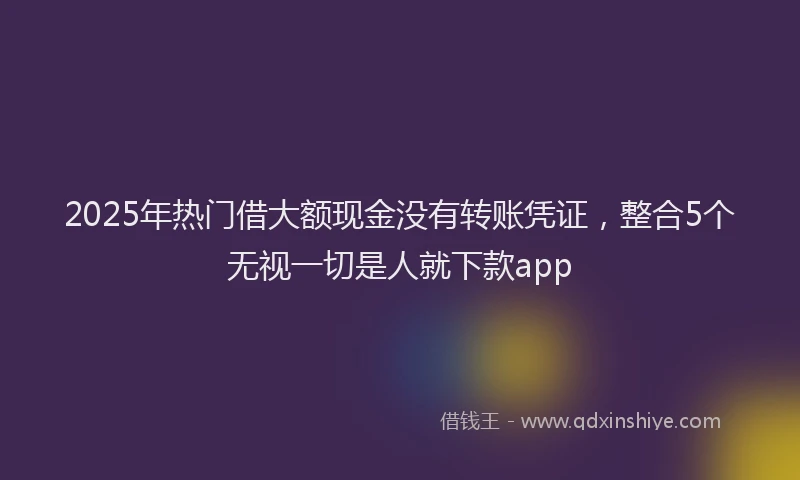 2025年热门借大额现金没有转账凭证，整合5个无视一切是人就下款app