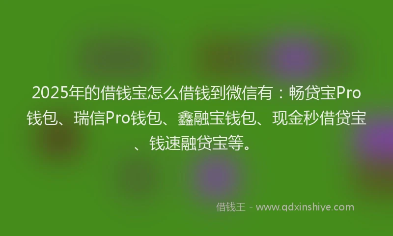 2025年的借钱宝怎么借钱到微信有：畅贷宝Pro钱包、瑞信Pro钱包、鑫融宝钱包、现金秒借贷宝、钱速融贷宝等。