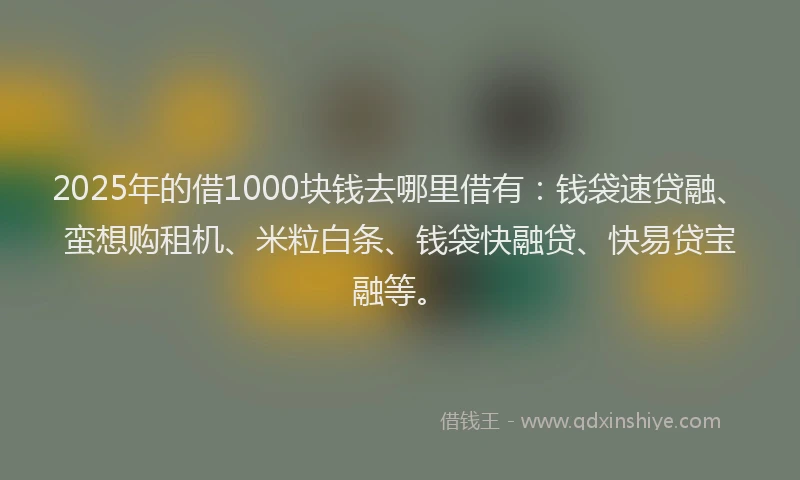 2025年的借1000块钱去哪里借有：钱袋速贷融、蛮想购租机、米粒白条、钱袋快融贷、快易贷宝融等。
