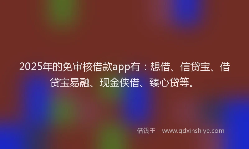2025年的免审核借款app有：想借、信贷宝、借贷宝易融、现金侠借、臻心贷等。