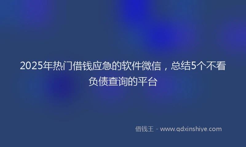 2025年热门借钱应急的软件微信，总结5个不看负债查询的平台