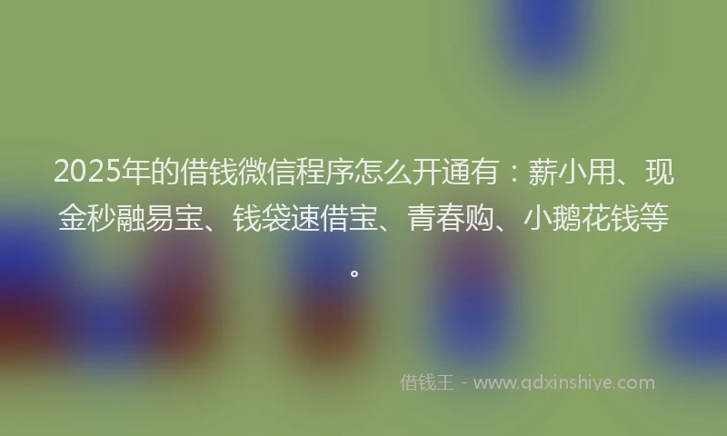 2025年的借钱微信程序怎么开通有：薪小用、现金秒融易宝、钱袋速借宝、青春购、小鹅花钱等。