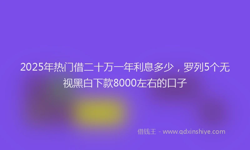 2025年热门借二十万一年利息多少，罗列5个无视黑白下款8000左右的口子