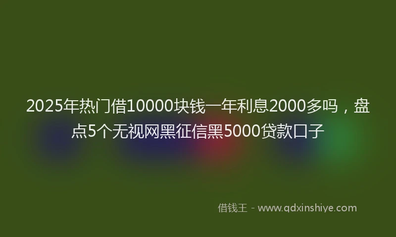 2025年热门借10000块钱一年利息2000多吗，盘点5个无视网黑征信黑5000贷款口子