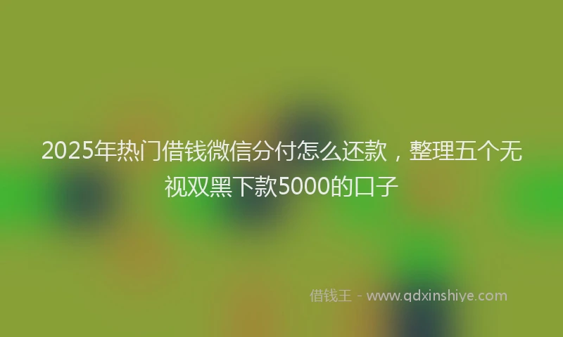 2025年热门借钱微信分付怎么还款，整理五个无视双黑下款5000的口子