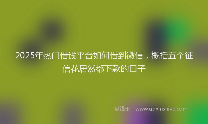 2025年热门借钱平台如何借到微信，概括五个征信花居然都下款的口子