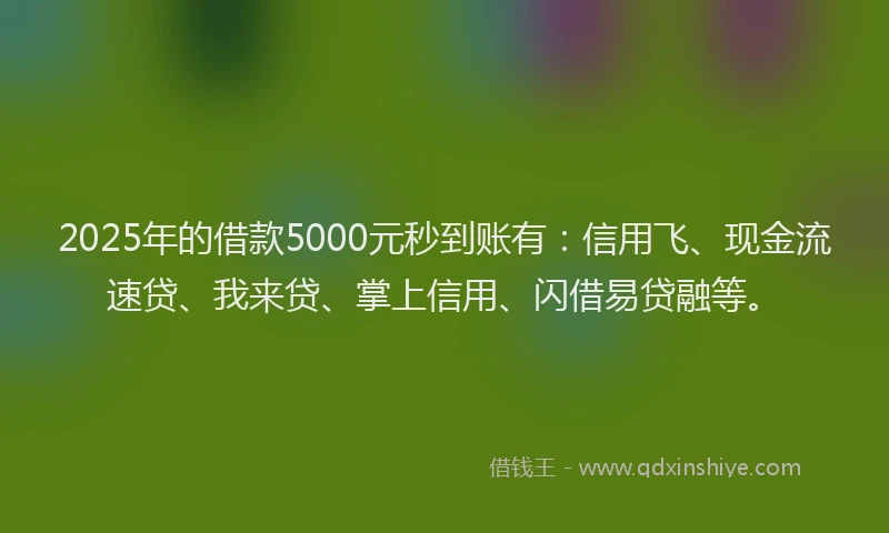 2025年的借款5000元秒到账有：信用飞、现金流速贷、我来贷、掌上信用、闪借易贷融等。