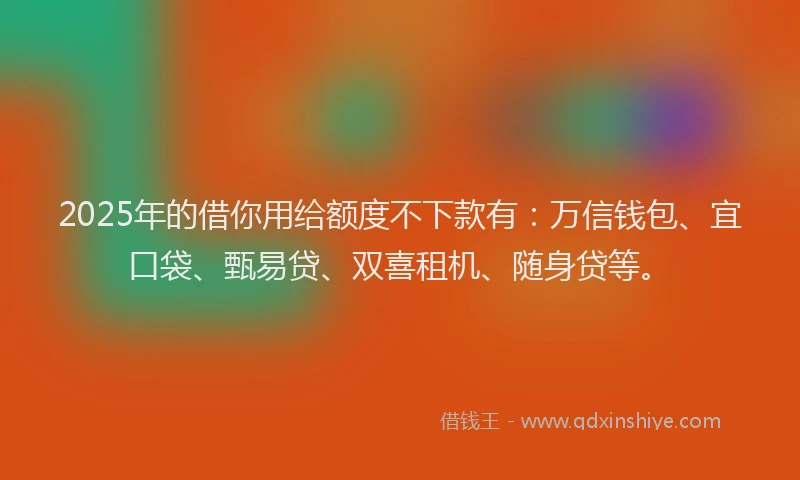 2025年的借你用给额度不下款有：万信钱包、宜口袋、甄易贷、双喜租机、随身贷等。