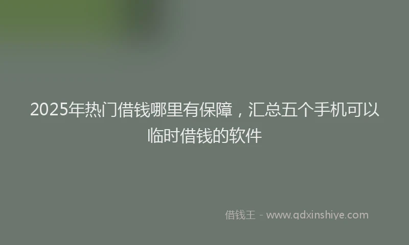 2025年热门借钱哪里有保障，汇总五个手机可以临时借钱的软件